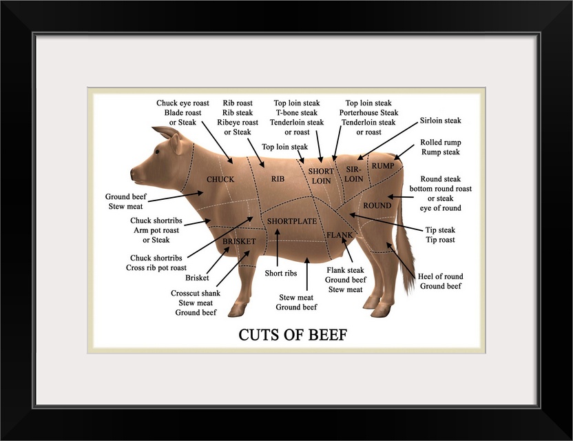 Cuts of beef. Computer artwork illustrating primal and subprimal cuts of beef and their names. Primal cuts (shown with bla...