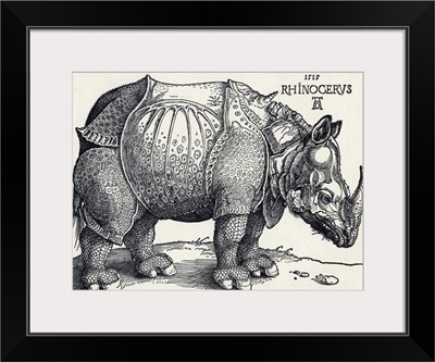 Durer's Rhinoceros, 1515