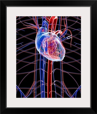 Human heart, artwork