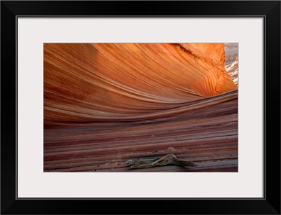 The Wave rock formation, Arizona