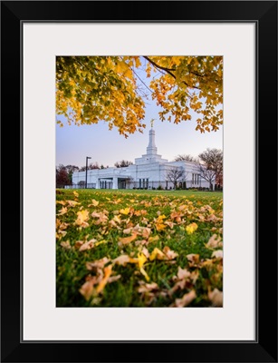Nashville Tennessee Temple, Fallen Leaves, Franklin, Tennessee