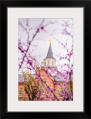 Provo City Center Temple, Purple Blossoms and Spire, Provo, Utah