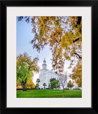 St George Utah Temple, Framed With Trees