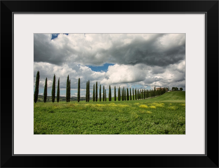 Beautiful home and Italian Cypress in Tuscany.