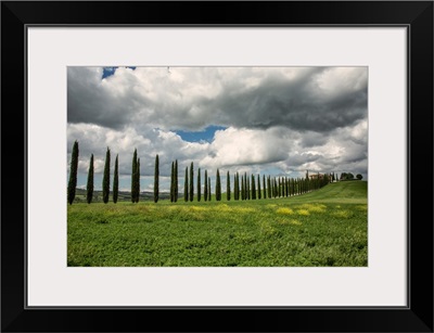 Beautiful home and Italian Cypress in Tuscany