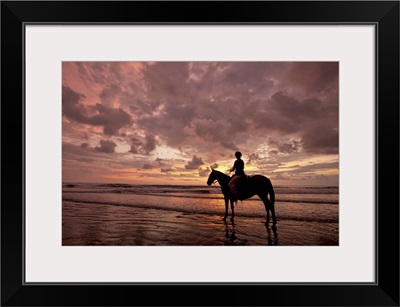 Colorful sunset on the beach with horse and rider
