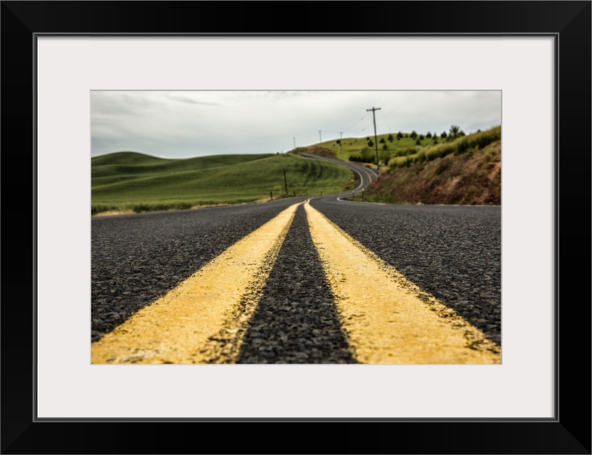 Country road in the Palouse, Washington