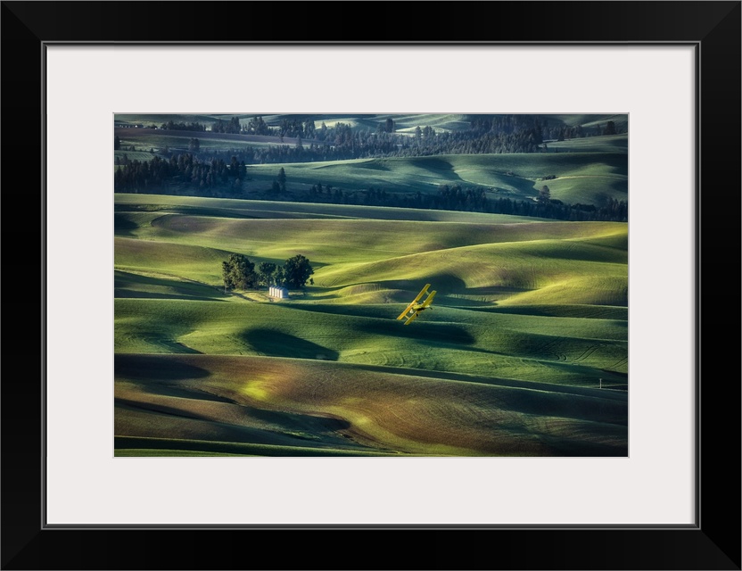 Crop duster flying over the rolling wheat fields of the Palouse