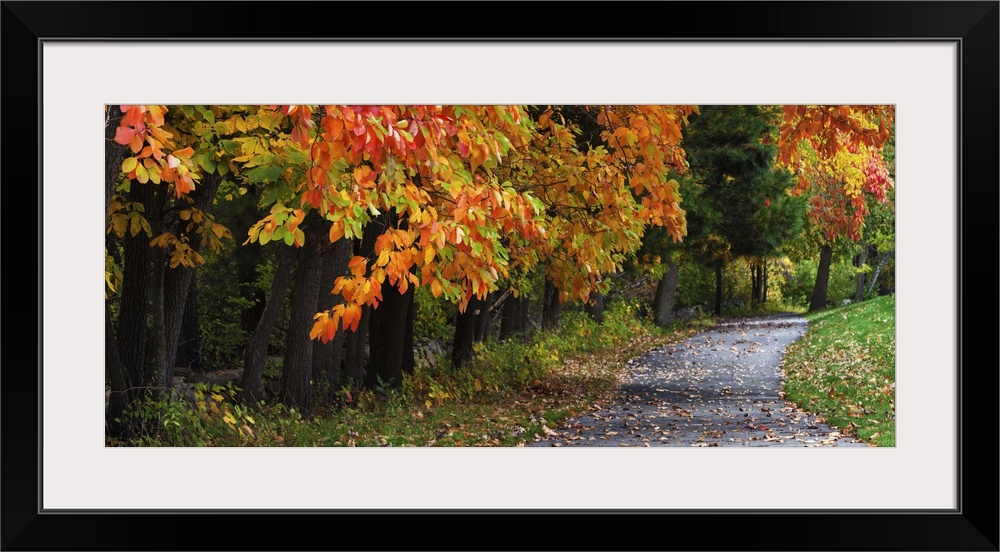 Fall color in Vermont