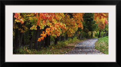 Fall color in Vermont