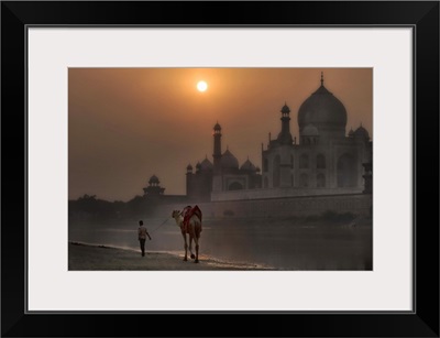 India Camel at the Taj Majal