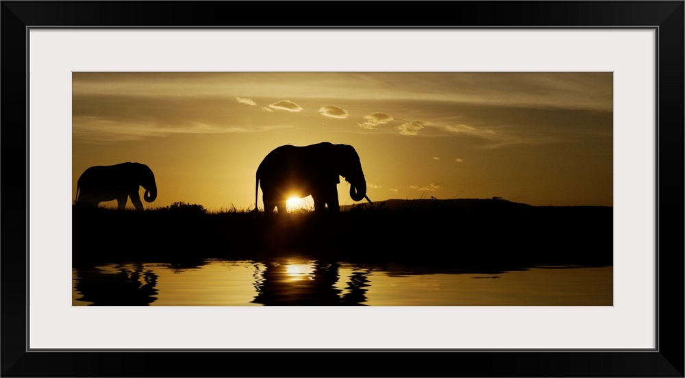 Mother and baby elephant walking by a lake at sunrise in Kenya