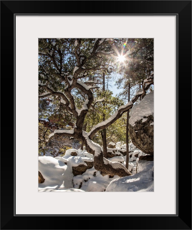 Oak Creek Canyon in the snow in Sedona, Arizona.