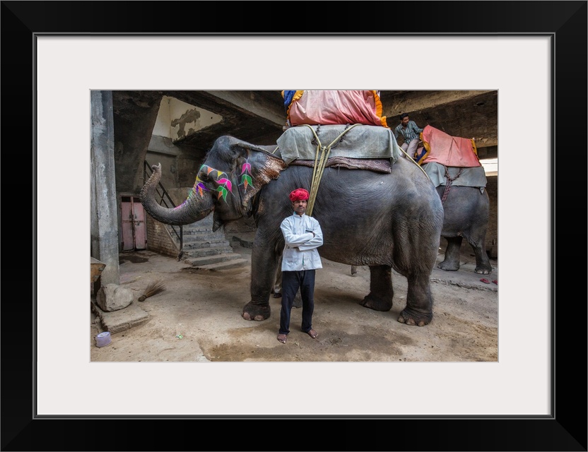 Painted elephant and its trainer in Jaipur, India.