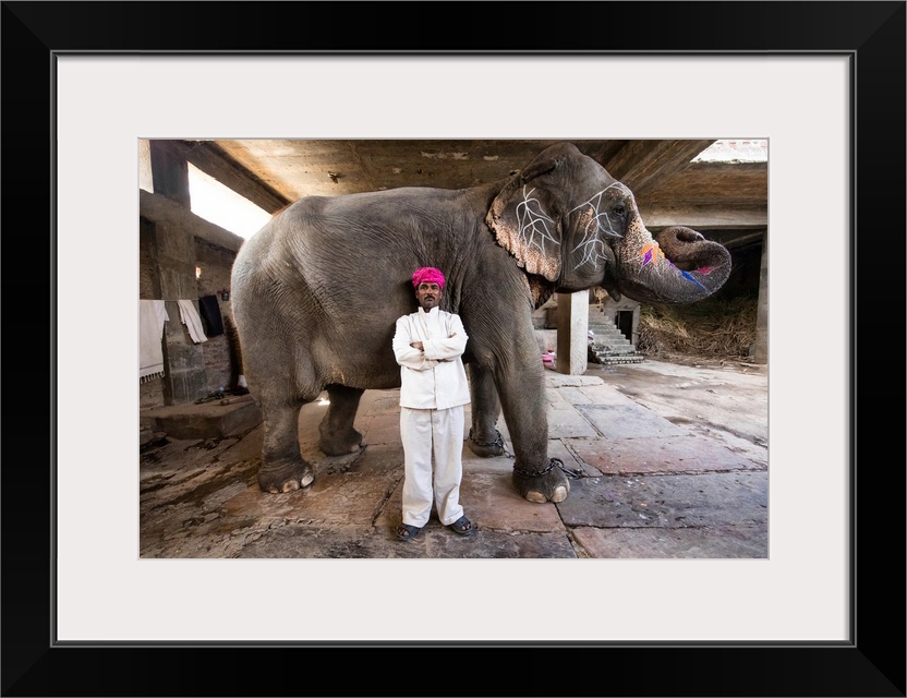 Painted elephant and its trainer in Jaipur, India.