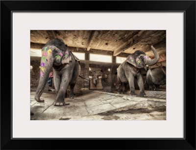 Painted elephants in their sleeping area in Jaipur, India