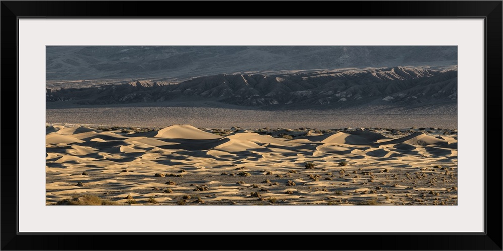 Panorama of the Mesquite Sand Dunes at Death Valley National Park