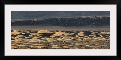 Panorama of the Mesquite Sand Dunes at Death Valley National Park