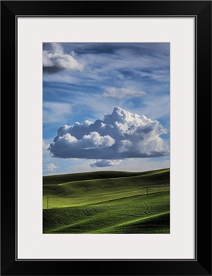 Powerful clouds and green wheat fields in the Palouse