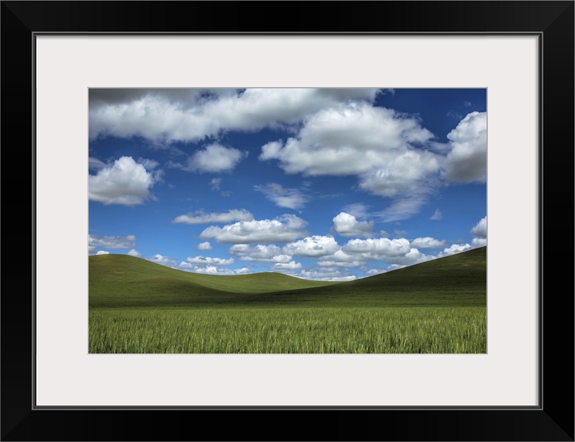 Powerful clouds and green wheat fields in the Palouse