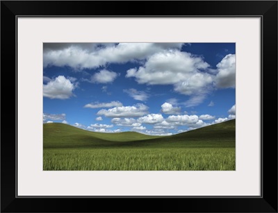 Powerful clouds and green wheat fields in the Palouse region of Washington