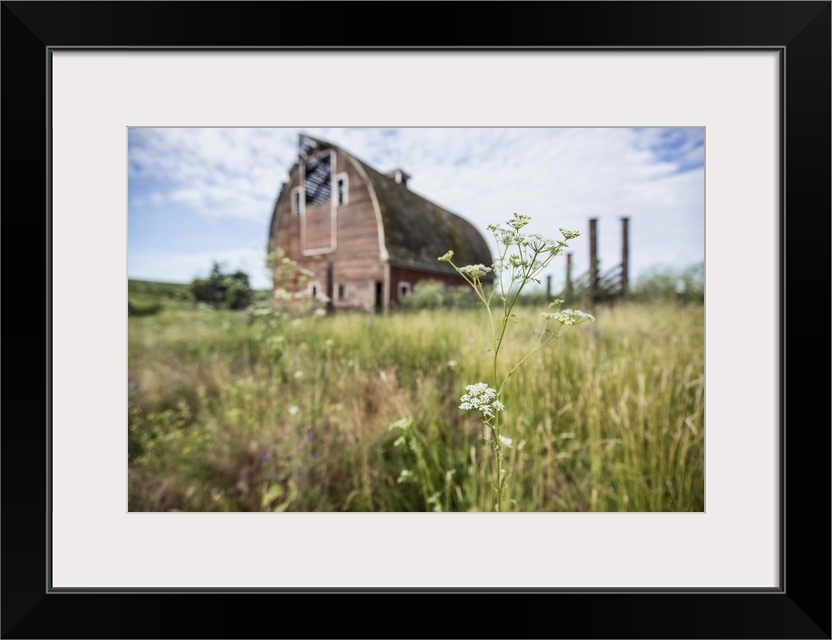 Red barn and flowers in the Palouse, Washington