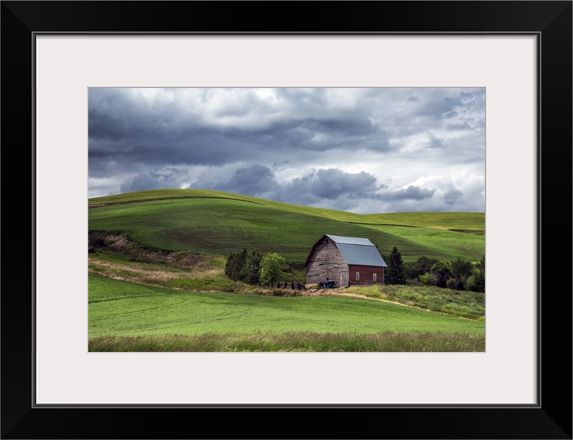 Red barn and green wheat fields in the Palouse, Washington