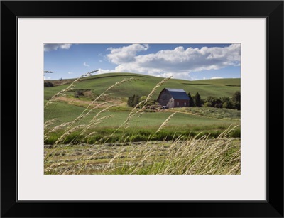 Red barn and green wheat fields in the Palouse, Washington