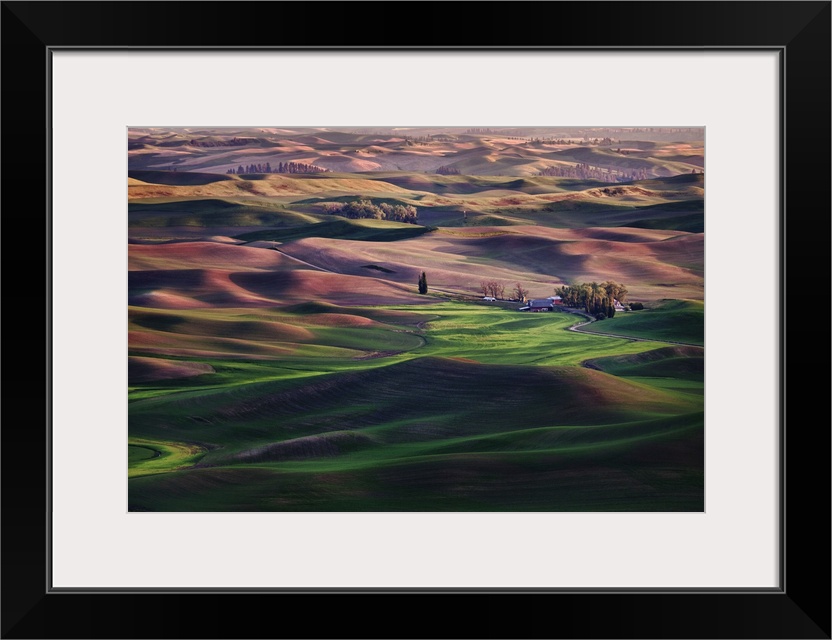 Rolling green fields in the Palouse, Washington