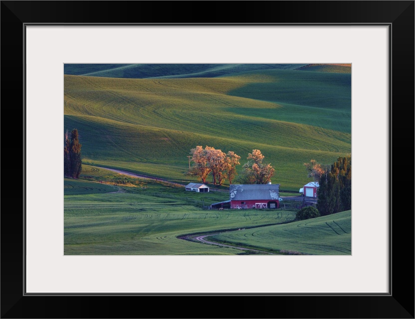 Rolling hills and barns in the Palouse region of Washington State