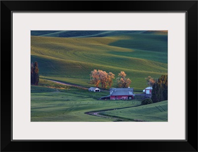 Rolling hills and barns in the Palouse region of Washington State