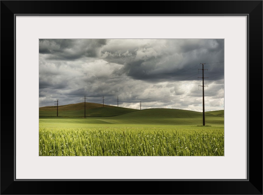 Rolling wheat fields and power lines in the Palouse, Washington