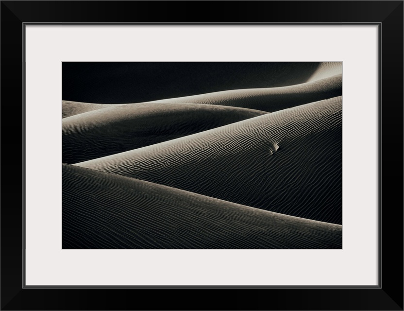 Sunrise over the Mesquite Sand Dunes in Death Valley National Park