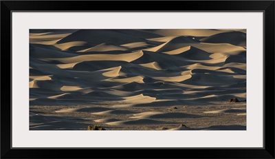 The amazing Mesquite Sand Dunes at Death Valley National Park