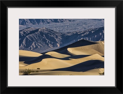 The amazing Mesquite Sand Dunes at Death Valley National Park