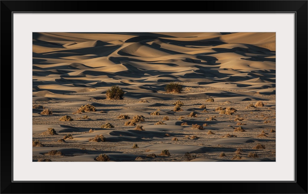 The amazing Mesquite Sand Dunes at Death Valley National Park