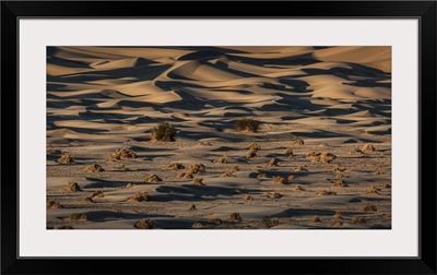 The Amazing Mesquite Sand Dunes At Death Valley National Park