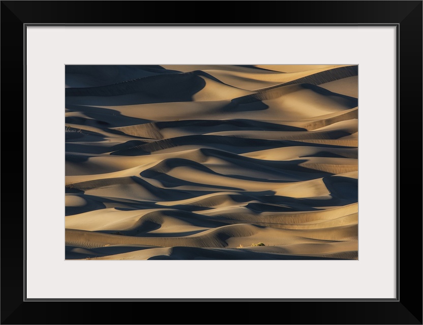 The amazing Mesquite Sand Dunes at Death Valley National Park