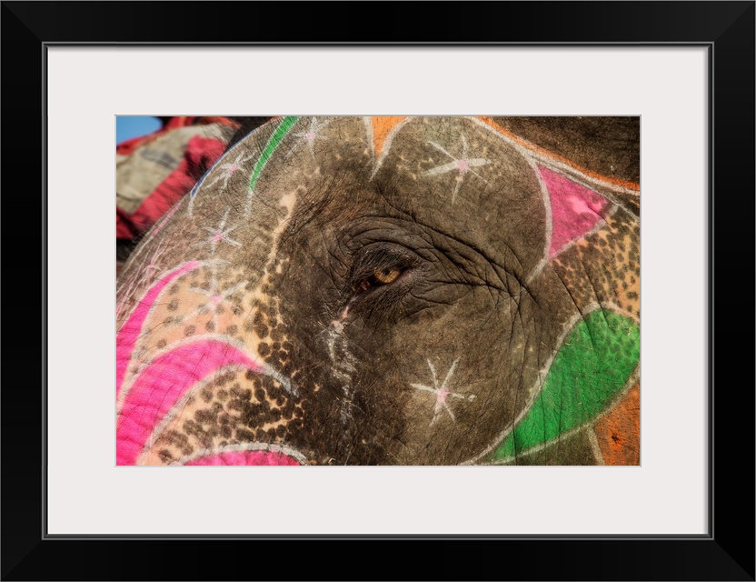 The eye of a painted elephant in Jaipur, India.