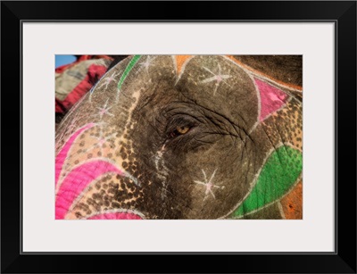 The eye of a painted elephant in Jaipur, India