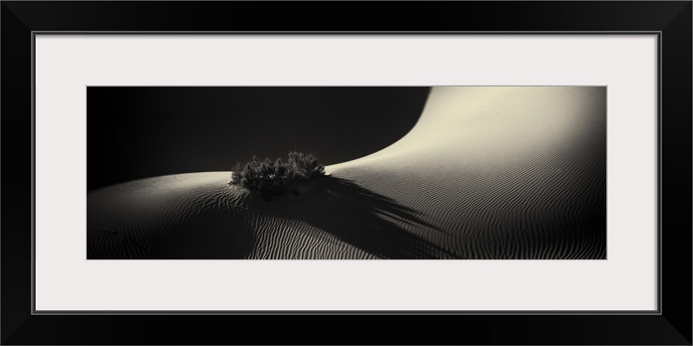 The Mesquite Sand Dunes of Death Valley National Park