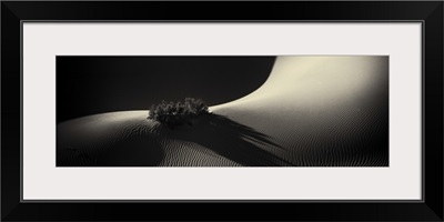 The Mesquite Sand Dunes of Death Valley National Park