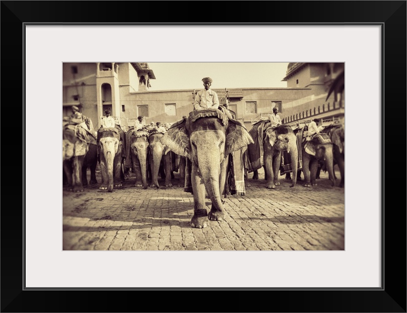 The painted elephants and their trainers in Jaipur, India.