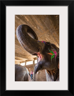 The painted elephants in Jaipur, India