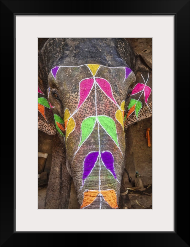 The painted elephants of Jaipur, India