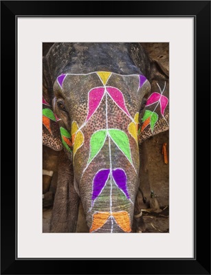 The Painted Elephants Of Jaipur, India