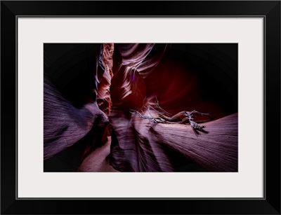 The Slot Canyons Of Antelope Canyon In Page, Arizona