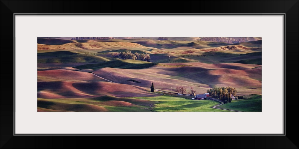 View from Steptoe Butte in the Palouse, Washington