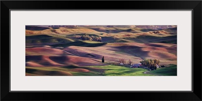 View from Steptoe Butte in the Palouse, Washington