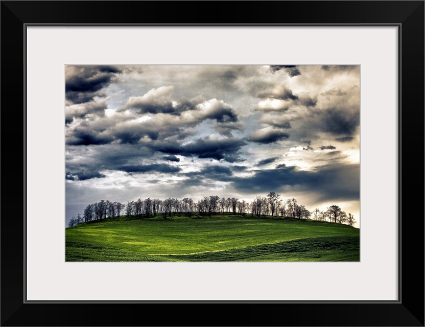 Wheat fields in the Palouse, Washington